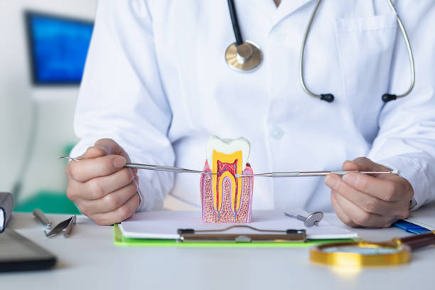 Best Emergency Treatment for Dental Infections or Abscesses in Creston, OH